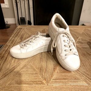 STEVE MADDEN platform tennis shoes